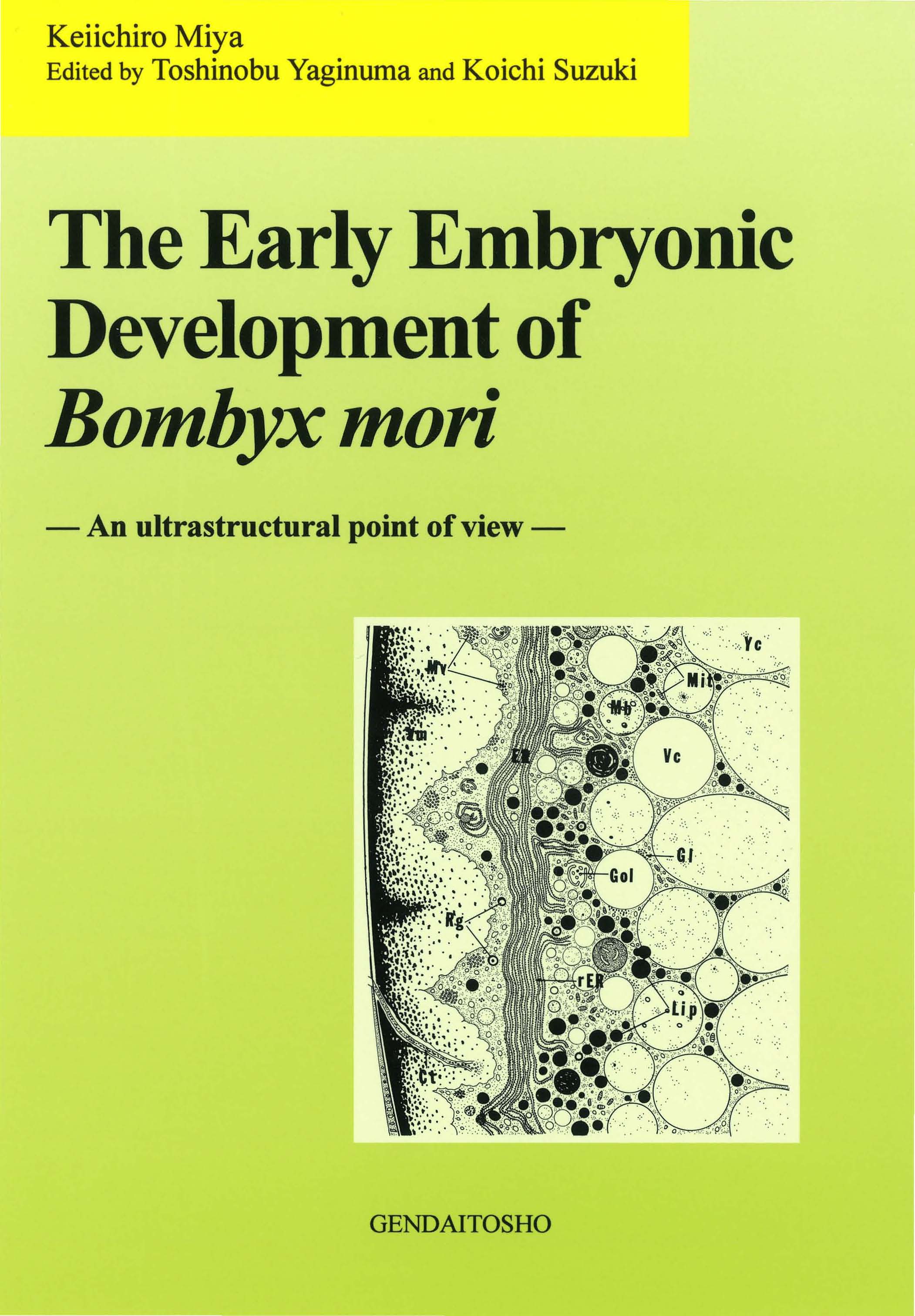 The Early Embryonic Development of Bombyx mori